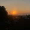 naama_gabbay Altpins Profile Picture