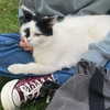 naama_gabbay Altpins Profile Picture