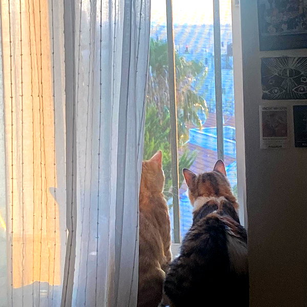 naama_gabbay instagram image archive image