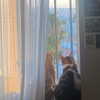 naama_gabbay Altpins Profile Picture