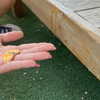 naama_gabbay Altpins Profile Picture