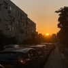 naama_gabbay Altpins Profile Picture