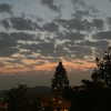 naama_gabbay Altpins Profile Picture
