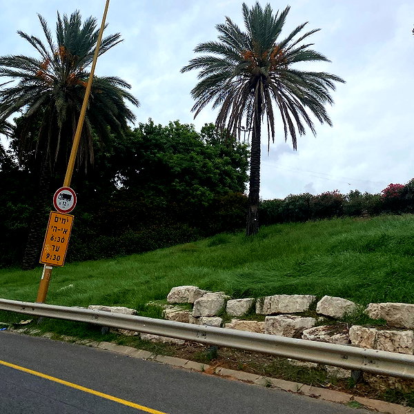 naama_gabbay instagram image archive image