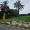 naama_gabbay Altpins Profile Picture