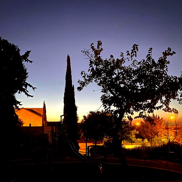 naama_gabbay instagram image archive image