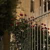 naama_gabbay Altpins Profile Picture
