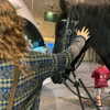 naama_gabbay Altpins Profile Picture