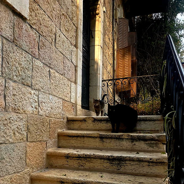naama_gabbay instagram image archive image