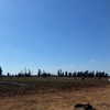 naama_gabbay Altpins Profile Picture
