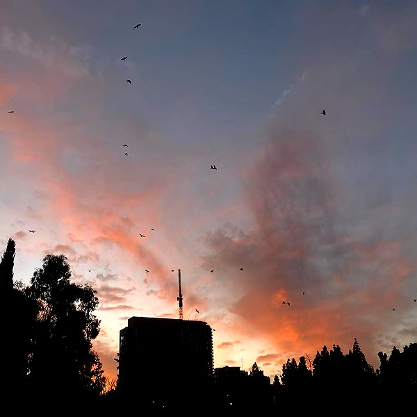 naama_gabbay instagram image archive image