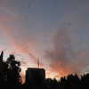 naama_gabbay Altpins Profile Picture