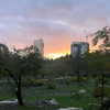 naama_gabbay Altpins Profile Picture
