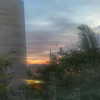 naama_gabbay Altpins Profile Picture