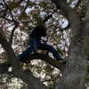 naama_gabbay Altpins Profile Picture