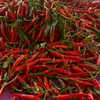naama_gabbay Altpins Profile Picture