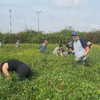 naama_gabbay Altpins Profile Picture