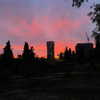 naama_gabbay Altpins Profile Picture