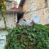 naama_gabbay Altpins Profile Picture