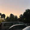 naama_gabbay Altpins Profile Picture