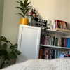 naama_gabbay Altpins Profile Picture