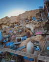namush_k Altpins Profile Picture