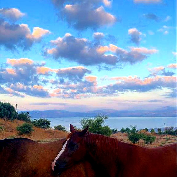 natahalieeee instagram image archive image