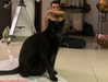 natahalieeee Altpins Profile Picture