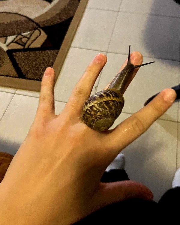natahalieeee instagram image archive image