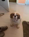 natahalieeee Altpins Profile Picture