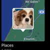 natahalieeee Altpins Profile Picture