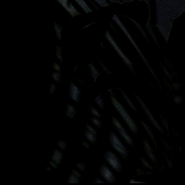 natahalieeee instagram image archive image