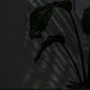 natahalieeee Altpins Profile Picture