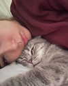 natahalieeee Altpins Profile Picture