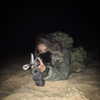nataliafadeev Altpins Profile Picture
