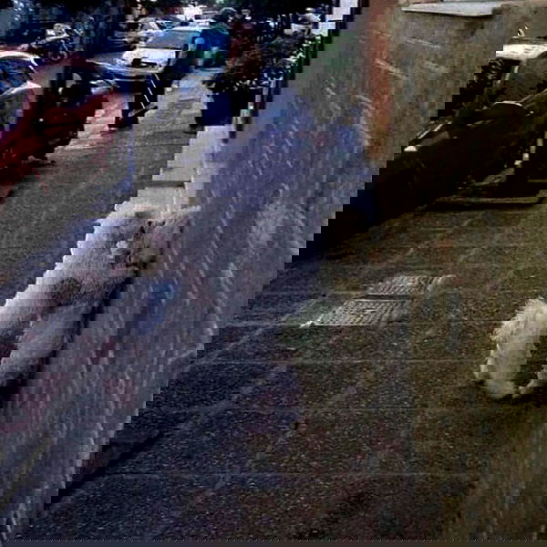 neiimaaa neiimaaa archive image