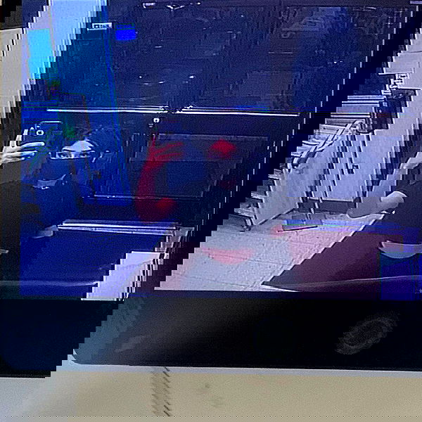 neiimaaa neiimaaa archive image