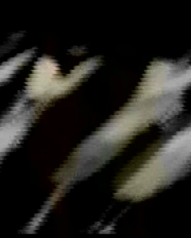 neiimaaa neiimaaa archive image