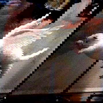 neiimaaa neiimaaa archive image