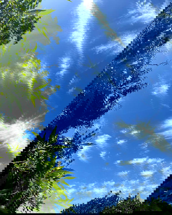 neiimaaa neiimaaa archive image