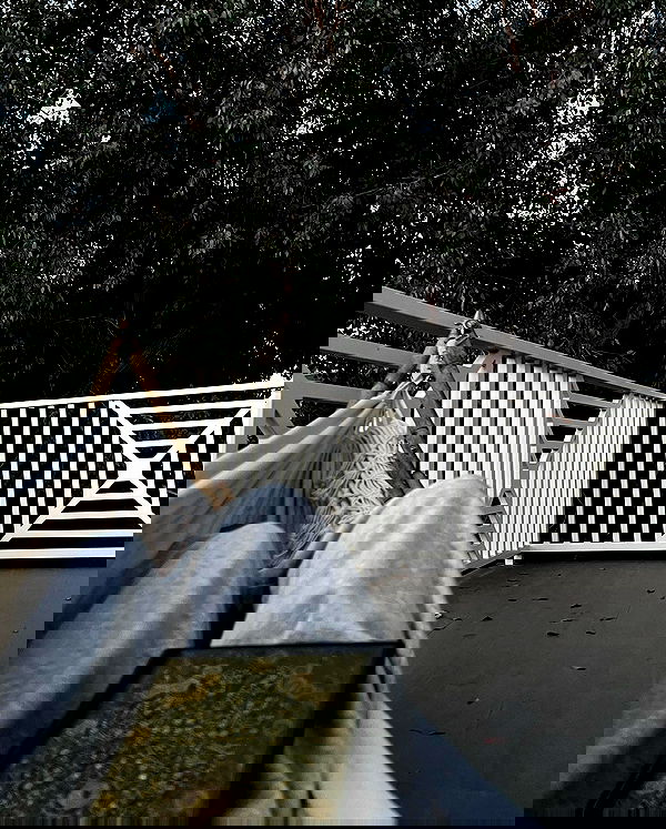 neiimaaa neiimaaa archive image