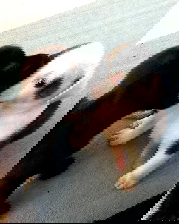 neiimaaa neiimaaa archive image