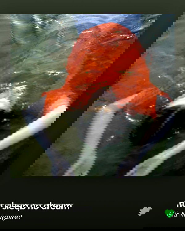 neiimaaa neiimaaa archive image