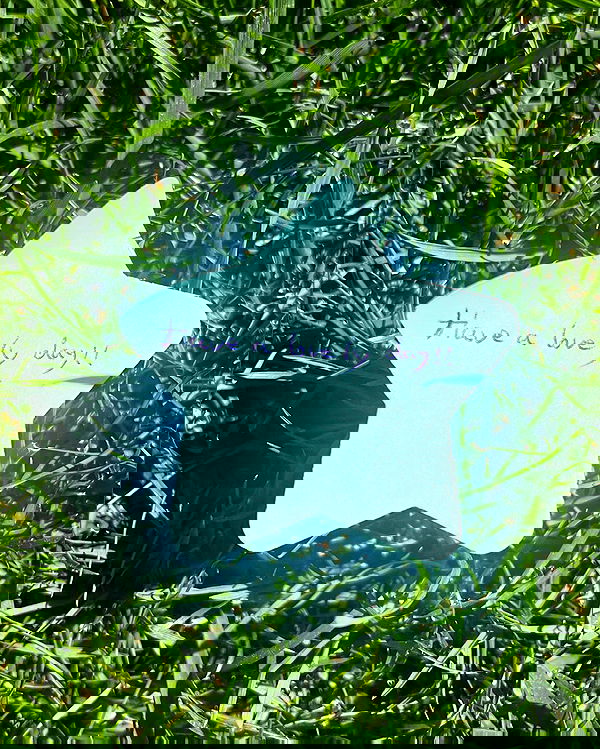 neiimaaa neiimaaa archive image