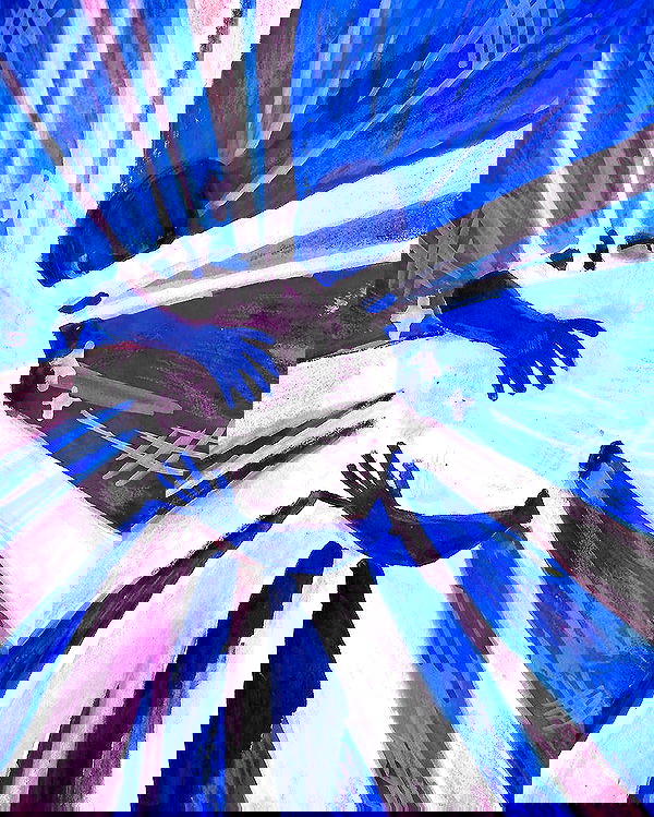 neiimaaa neiimaaa archive image