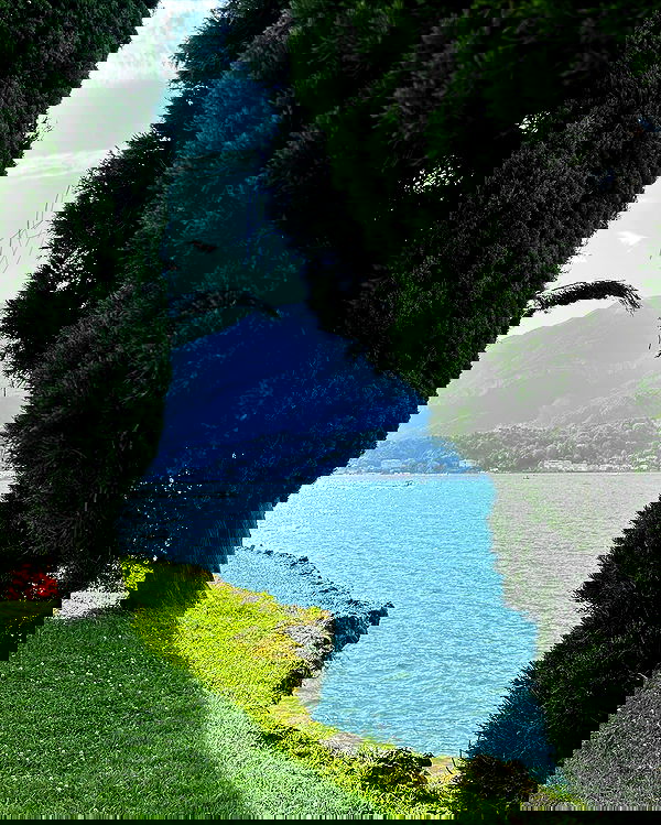 neiimaaa neiimaaa archive image