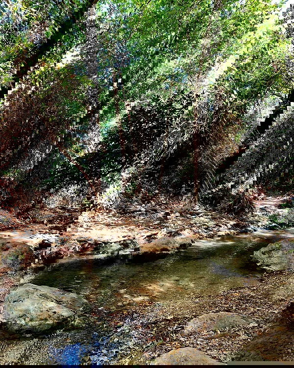 neomiconrad neomiconrad archive image