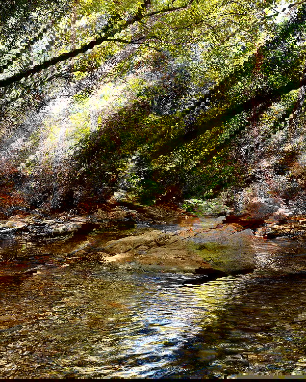 neomiconrad neomiconrad archive image