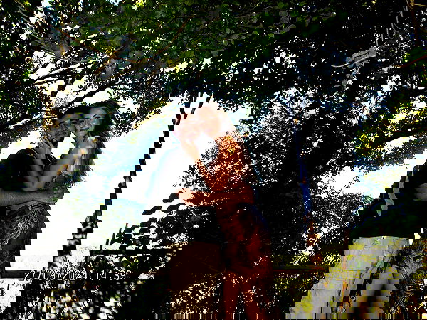 neomiconrad neomiconrad archive image