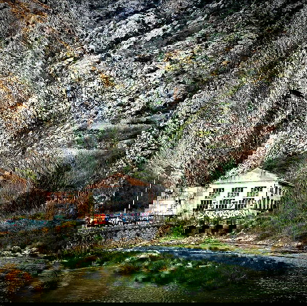 neomiconrad neomiconrad archive image